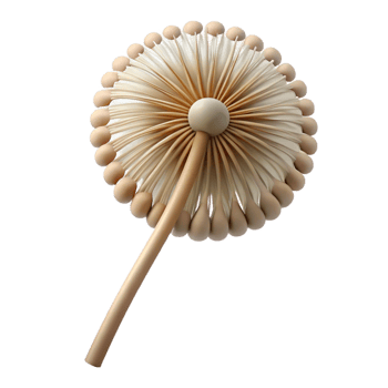 beautiful abstract Single dandelion seedhead high resolution png