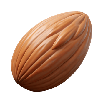 elegant minimalist Single raw almond original png