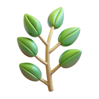 beautiful minimalist A single, stylized tree branch with abstract leaves, high resolution png