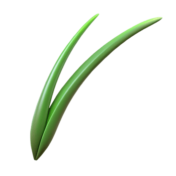 wonderful creative Single blade of grass professional png