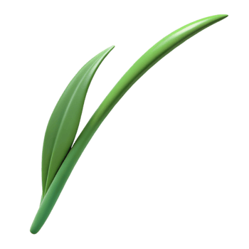 stunning traditional Single blade of grass high resolution png