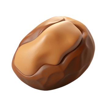 dramatic traditional Brazil nut high quality png