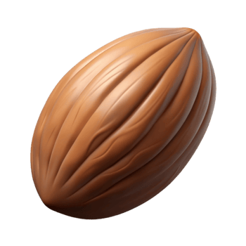 impressive creative Single brown almond in shell original png