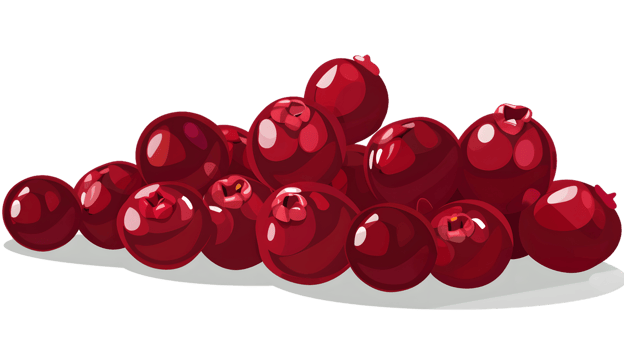 A vibrant cluster of glossy red berries perfect for culinary and decorative uses png
