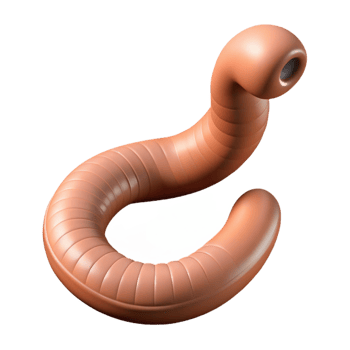 wonderful traditional Earthworm detailed png