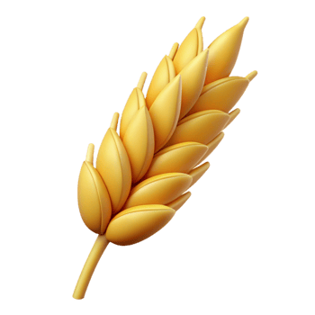 dramatic modern Wheat stalk with grains authentic png