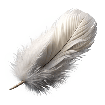 serene abstract Feather, white, fluffy detailed png