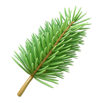 impressive vintage Pine needle, single high quality png