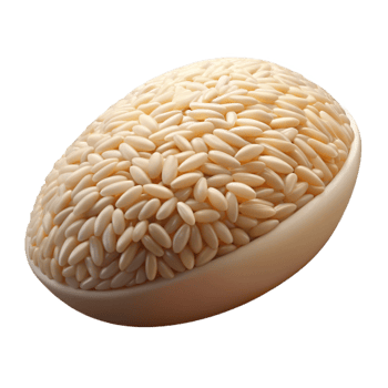 vibrant traditional A single grain of rice, highly detailed, authentic png
