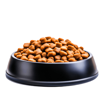 A Dry pet food in black bowl png