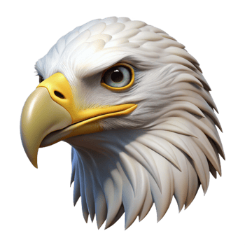 serene artistic A majestic eagle head with sharp beak, genuine png