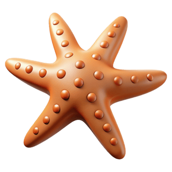 beautiful creative A starfish with five arms high resolution png