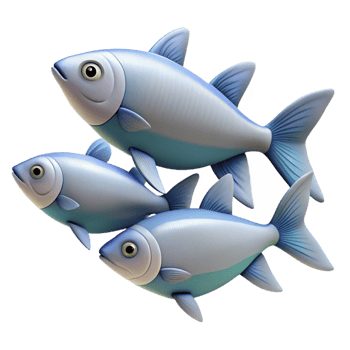 stunning minimalist A school of fish cropped to show only a few fish genuine png