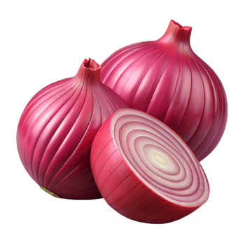 vibrant modern Sliced red onion exclusive png