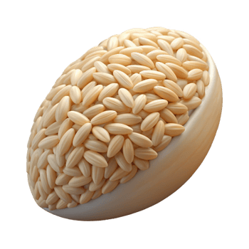 magnificent contemporary Single grain of rice high quality png