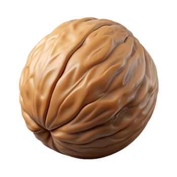 elegant artistic Single walnut original png