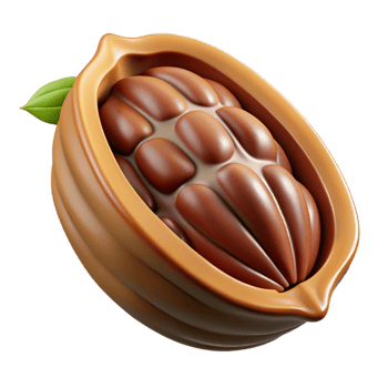 extraordinary creative Cocoa pod cut open professional png