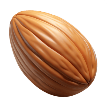 stunning classic Almond nut detailed png