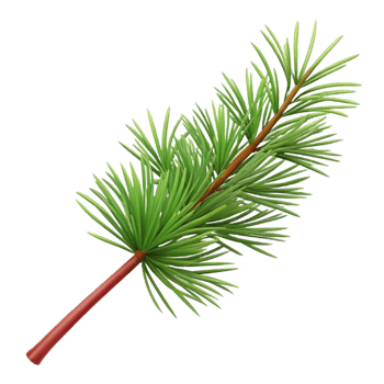 magnificent traditional Branch with pine needles high quality png