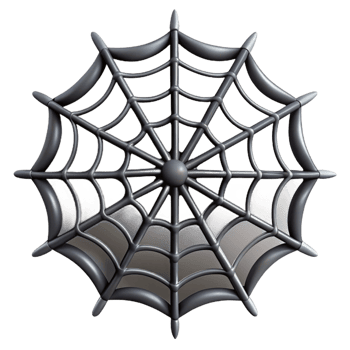 elegant traditional Close-up of a spider web premium png