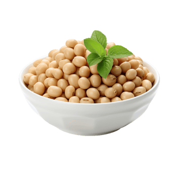 Soy beans in a white bowl isolated on transparent background png