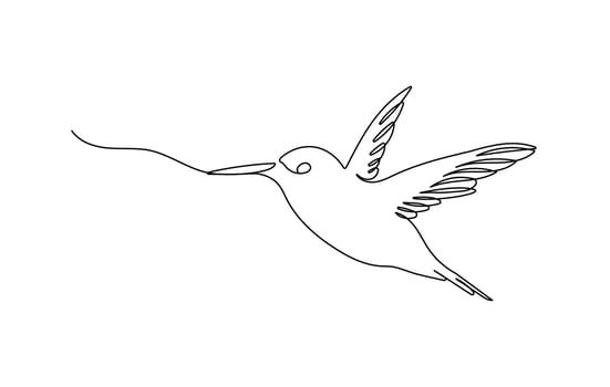Hummingbird continuous one line drawing. Editable stroke on a white isolated background. vector