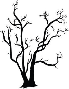 Silhouette of Bare Tree Branches on a Transparent Background png
