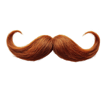 A vibrant auburn mustache artfully styled with prominent curls at the ends stands out against a stark png