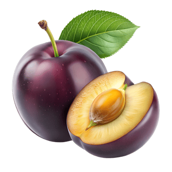 A juicy ripe plum and a halved plum showing the seed and flesh png