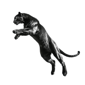 Leaping panther silhouette Sleek feline mid-jump against transparent backdrop capturing agility and wild power in simple elegance png