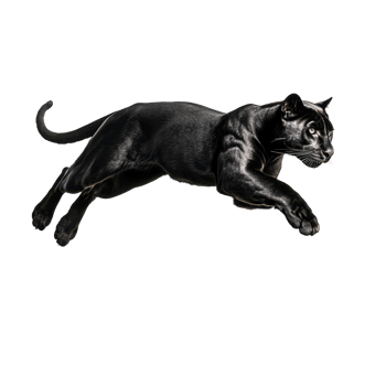 Sleek panther leaps powerfully muscles defined against a transparent background Graceful and intense a striking depiction of agility png