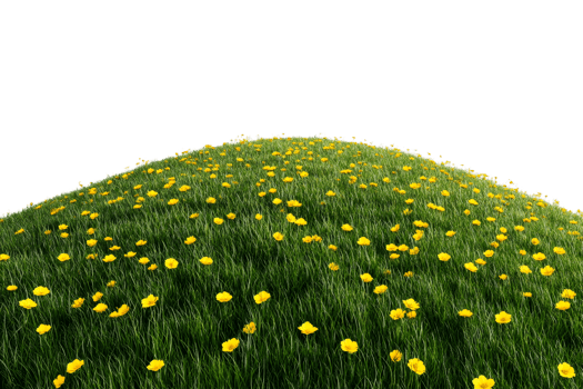 Grassy knoll with yellow flowers, lush meadow, natural element, cut out transparent png