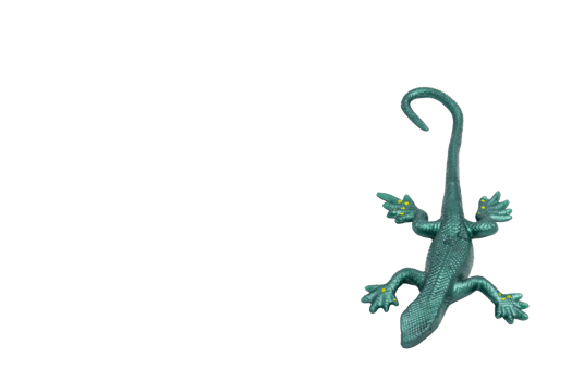 Green rubber lizard toy, top view, no background. Playful and fun, perfect for children's designs, educational materials or toy store advertising. png