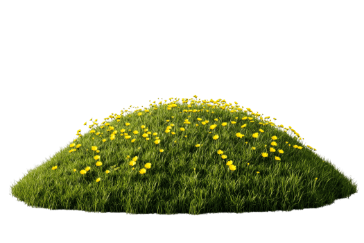 Grassy hillock with yellow wildflowers, meadow vegetation, cut out transparent png