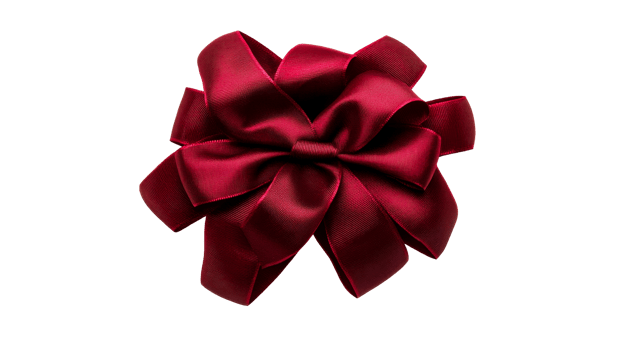 Maroon ribbon bow on dark background, cut out transparent png