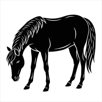 Black horse silhouette on white backgroun vector