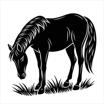 Black horse grazing in the grass vector