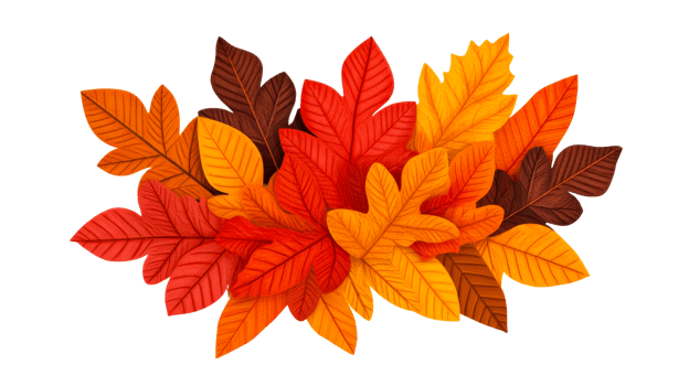 Autumn Leaves Still Life Arrangement in Various Colors, cut out transparent png