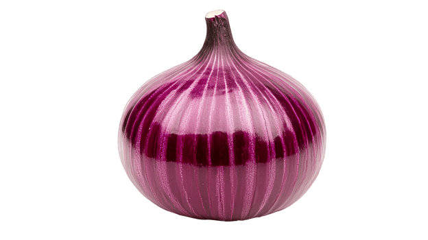 Fresh red onion bulb, closeup isolated, cut out transparent png