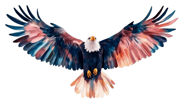 Eagle with outstretched wings, watercolor painting, flying up, cut out transparent png