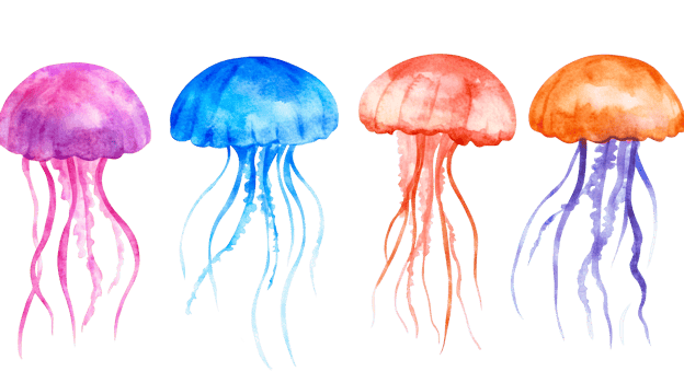 Watercolor jellyfish set illustration, different colors, isolated, cut out transparent png