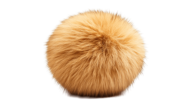 Fluffy ball of vibrant orange fur isolated against black, cut out transparent png