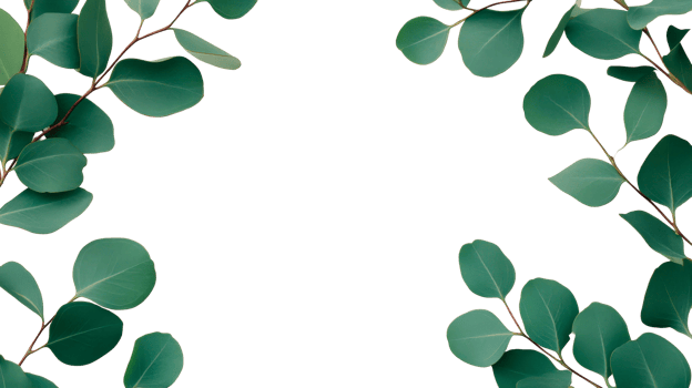 Eucalyptus frame on black background, elegant foliage cut out transparent png