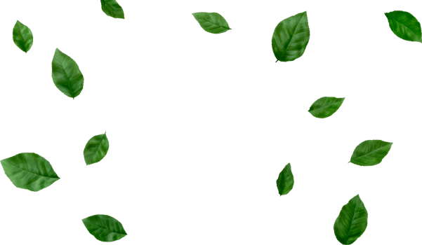 Green leaves scattered on black background, cut out transparent png