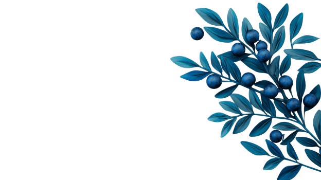 Blue leaf branches and berries illustration, isolated element, cut out transparent png