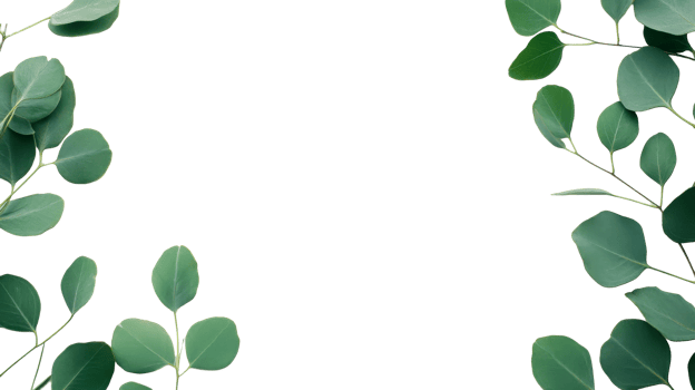 Green leaves arranged on a transparent background for decoration png