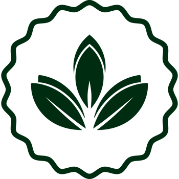 organic natural food badge png