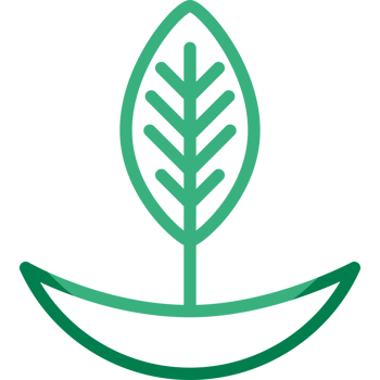 dosha vata ayurvedic png