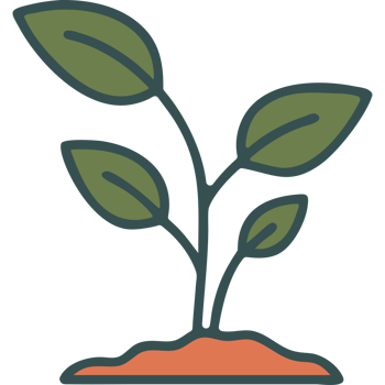 garden Young plant with green leaves icon png