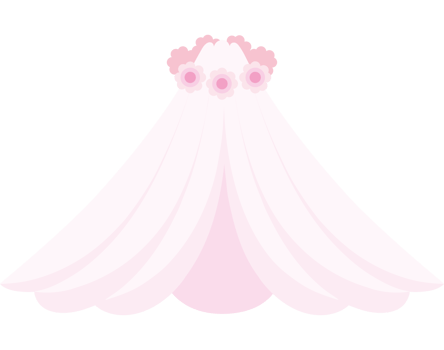 Wedding Veil Pink Soft Romantic Bridal Decoration png